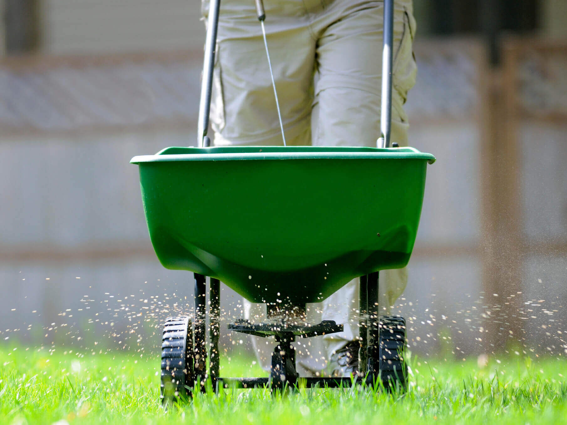 seeder