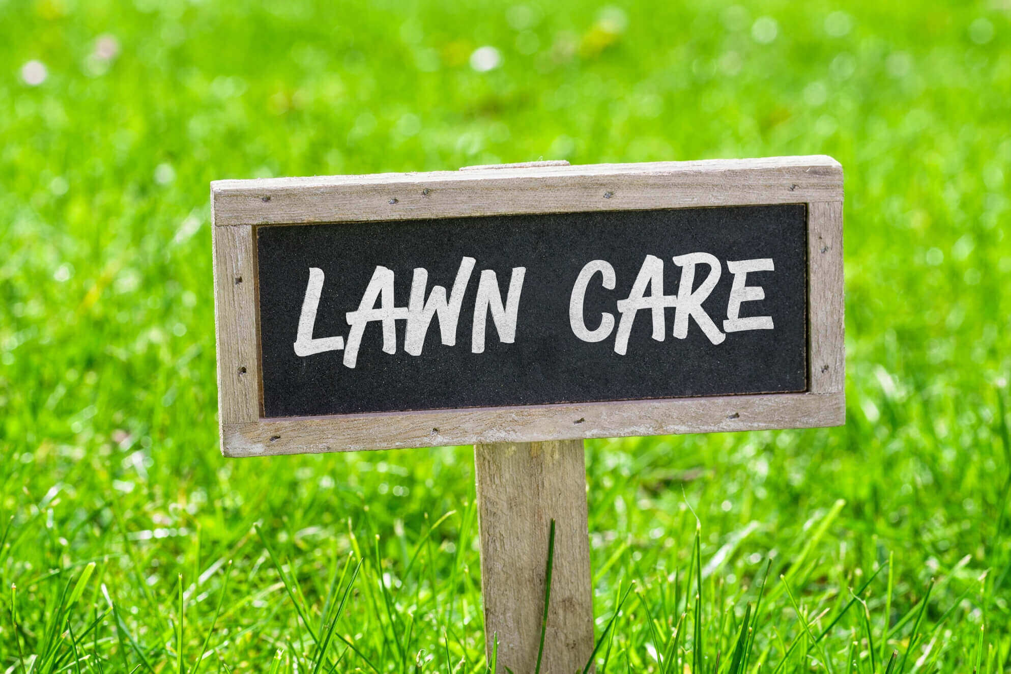lawn care sign