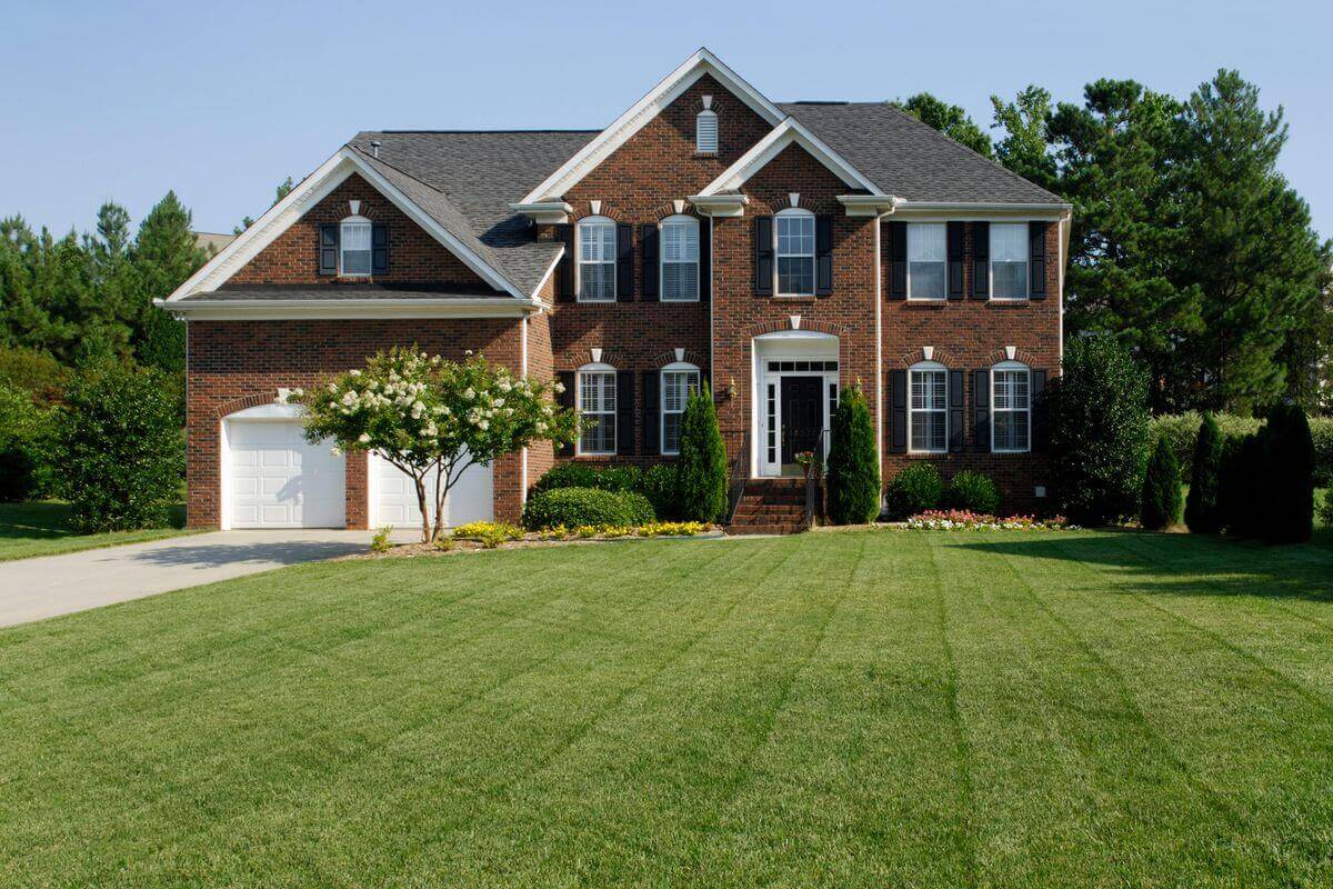 healthy lawn