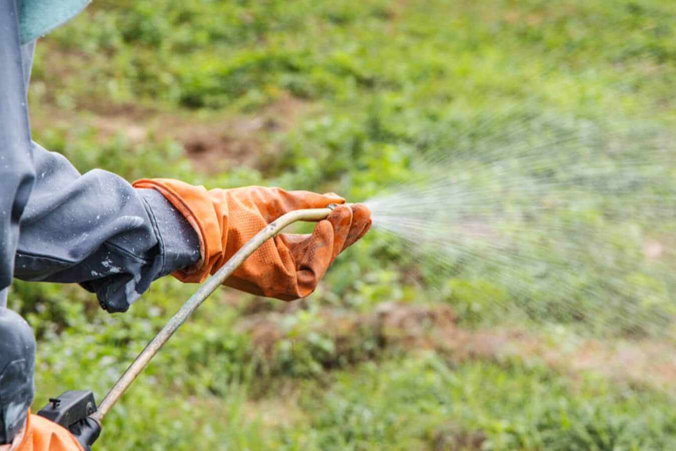 sprayer