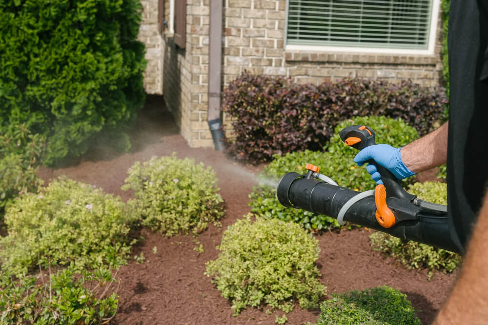 sprayer