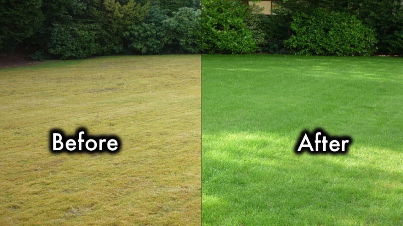 before and after