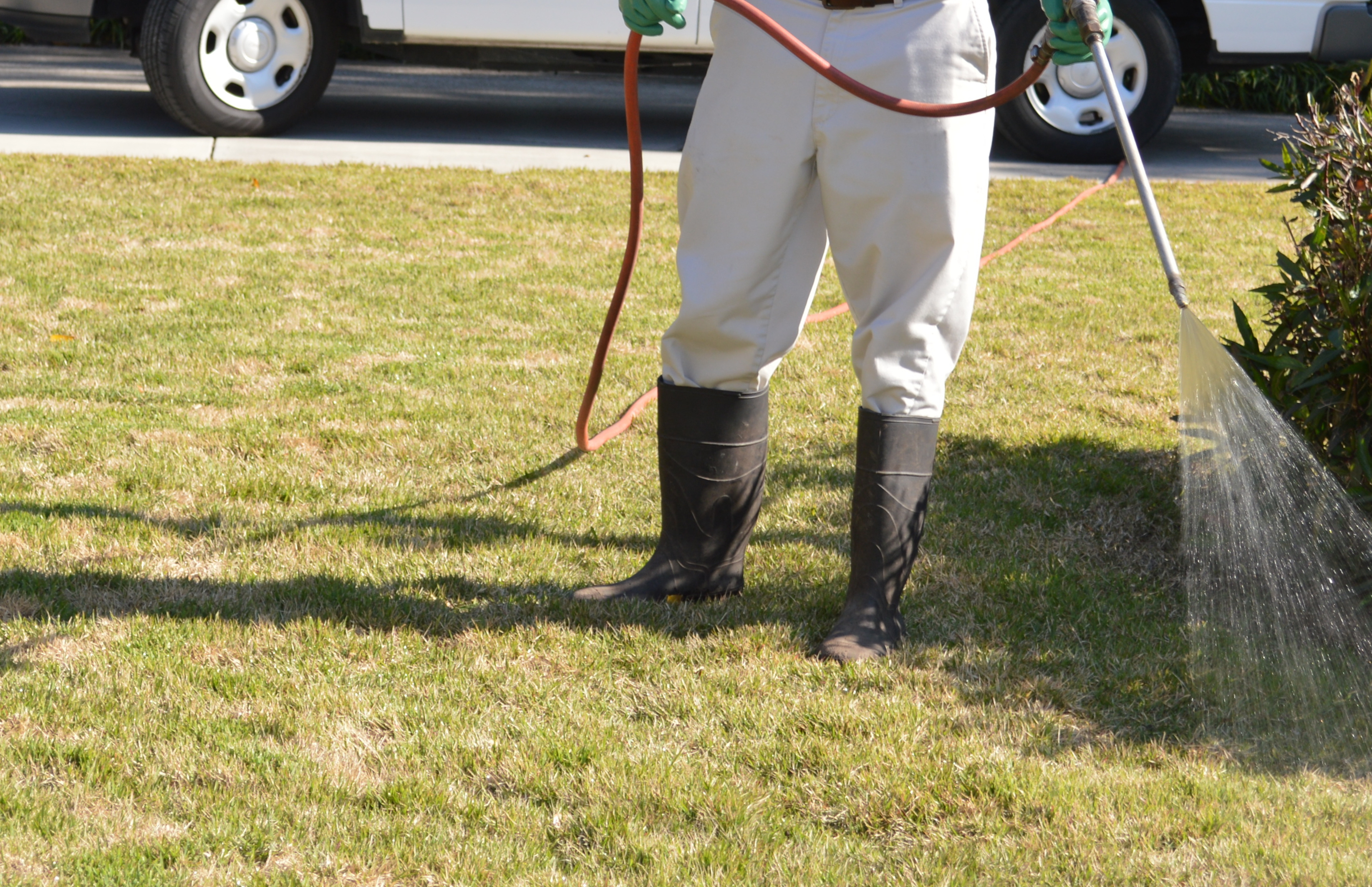 spray fertilizer