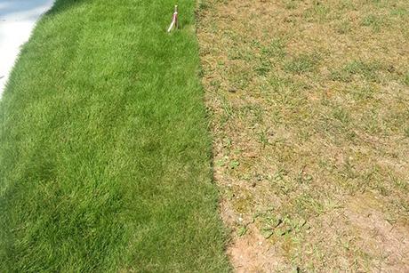 before and after
