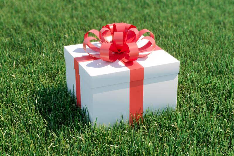 gift