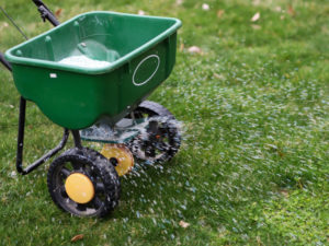 2 Lawn Care Lexington Richmond Kentucky Sm 300x225