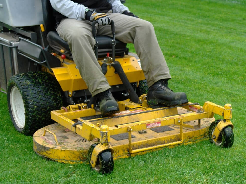 Lawn Mowing