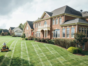 1 Lawn Mowing Lexington Kentucky 300x225