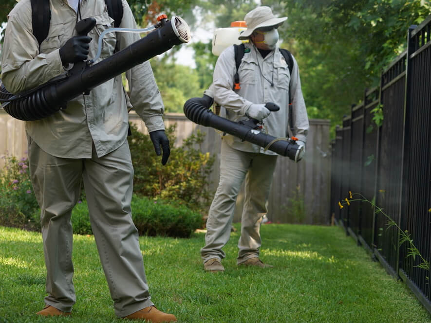 Mosquito Control